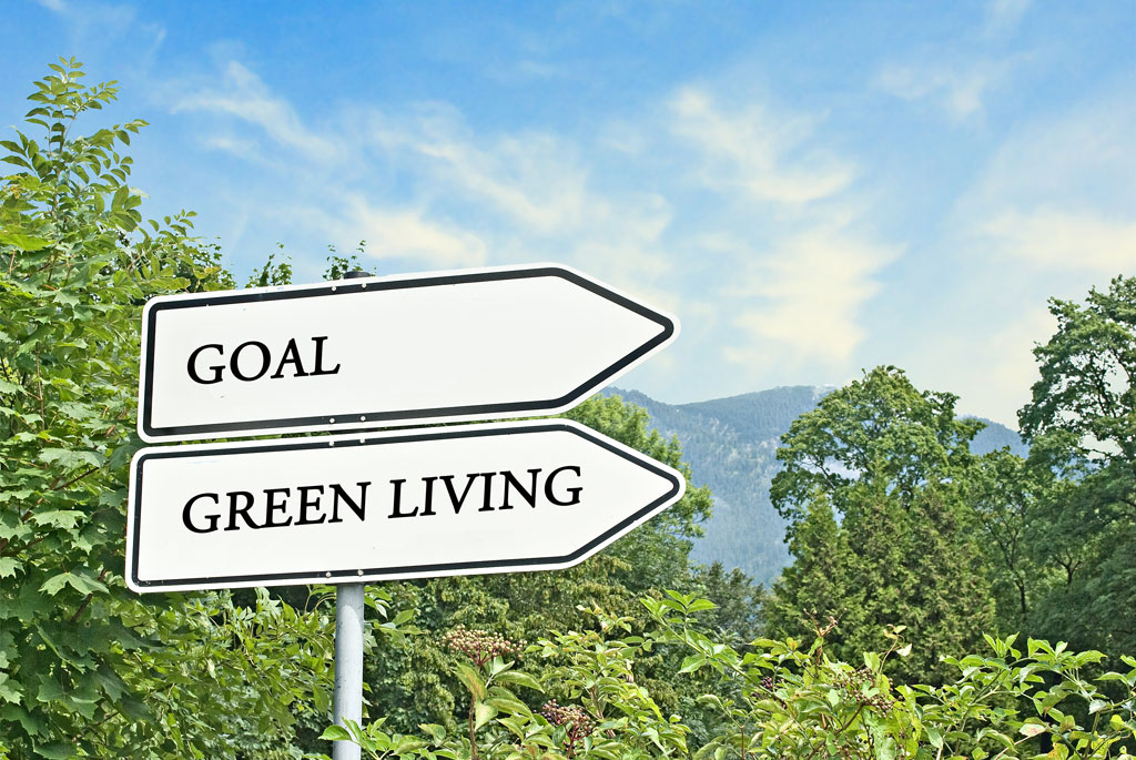 First Steps Towards An Eco-Friendly Lifestyle Need Not Be Expensive