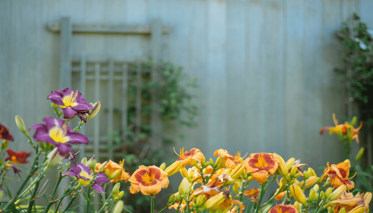 Outdoor Trends Home Buyers Detest