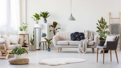 Sustainable Décor for Your Green Home